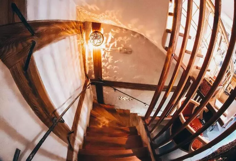 Fotos del hotel Lula:  14