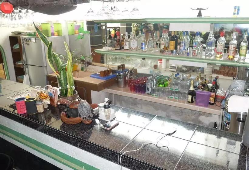 Fotos del hotel Turtle Inn Resort:  3