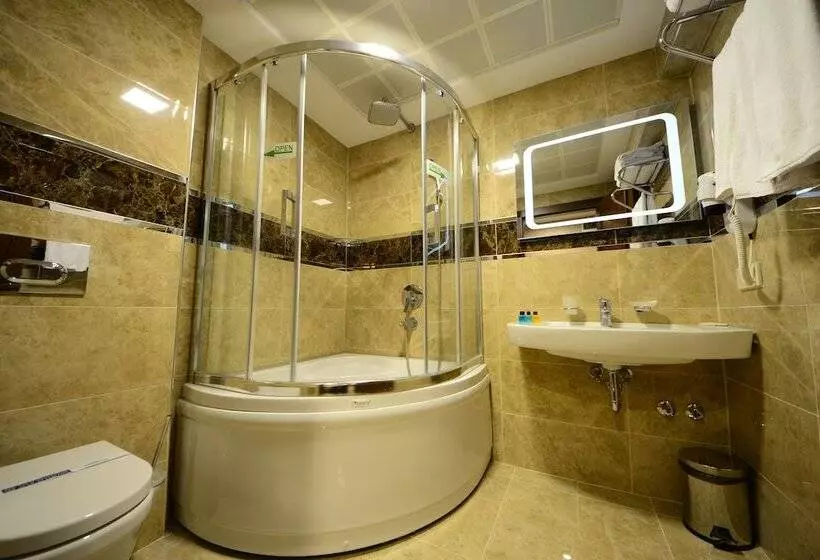 Fotos del hotel Grand Bazaar:  9