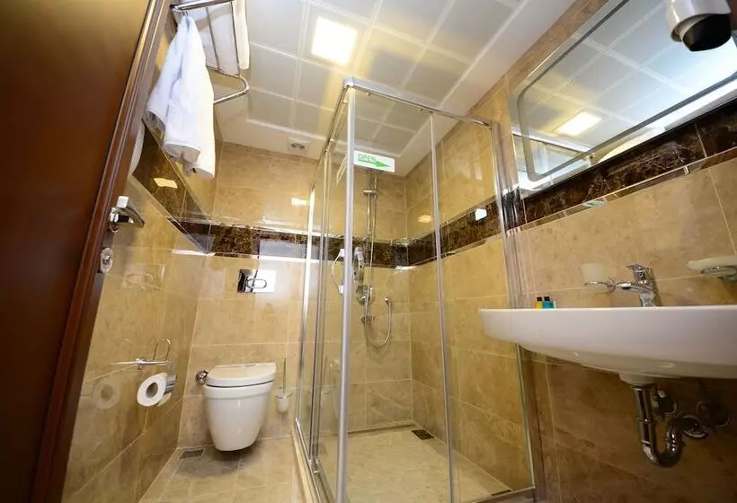 Fotos del hotel Grand Bazaar:  13