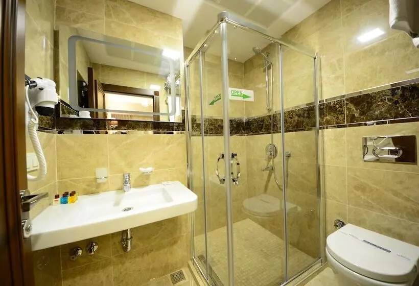 Fotos del hotel Grand Bazaar:  5