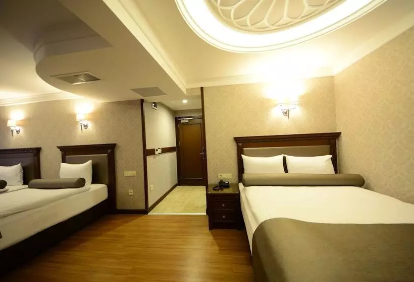 Fotos del hotel Grand Bazaar:  21