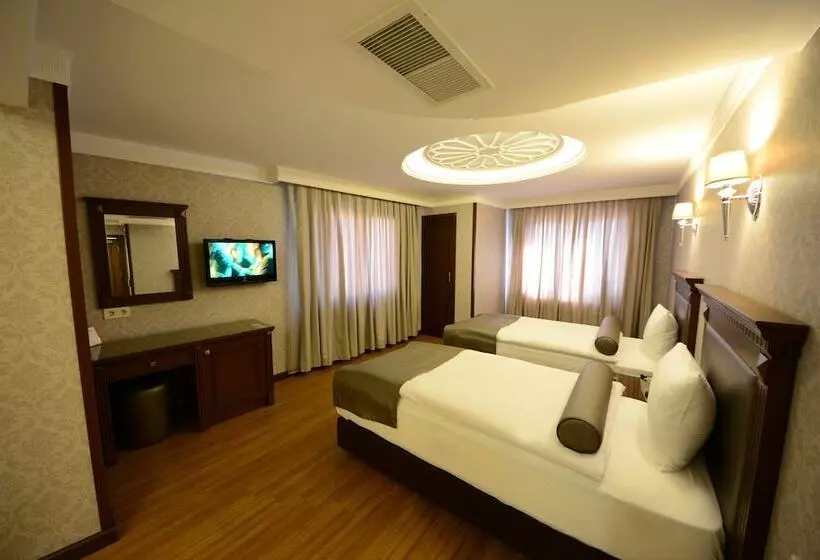 Fotos del hotel Grand Bazaar:  24