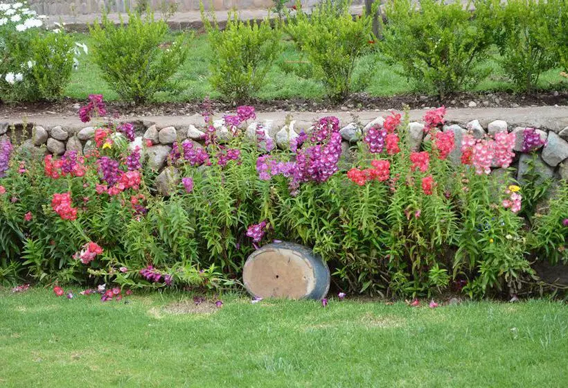 Fotos del hotel Inti Ñan:  5