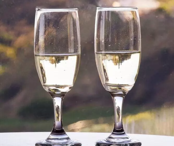 Fotos del hotel The Clarence Gardens:  11