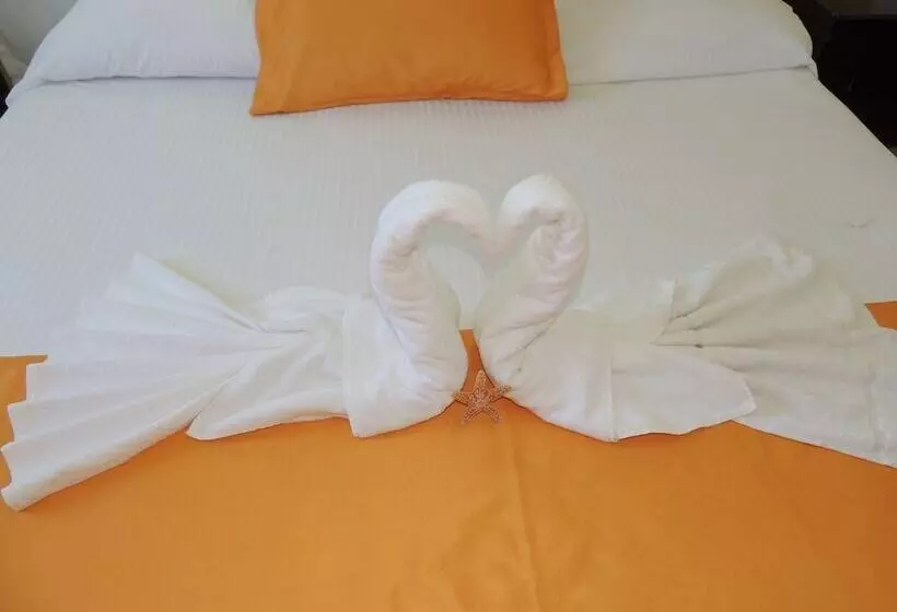 Fotos del hotel Concierge Plaza San Rafael:  23