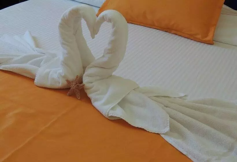 Fotos del hotel Concierge Plaza San Rafael:  8