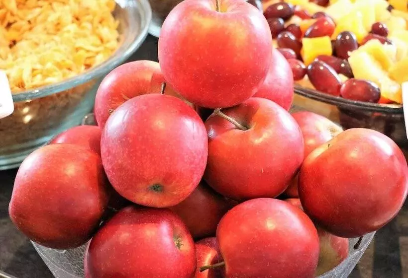 Fotos del hotel Excelsior:  24