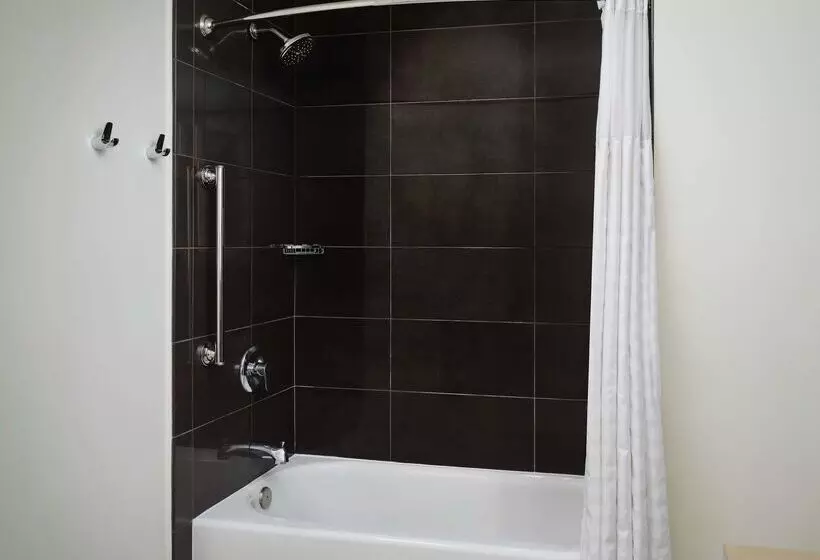 Fotos del hotel Hyatt House Atlanta Downtown:  9