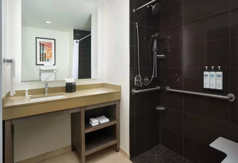 Fotos del hotel Hyatt House Atlanta Downtown:  14