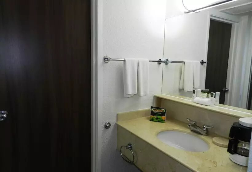 Fotos del hotel Real Villa Florida:  17