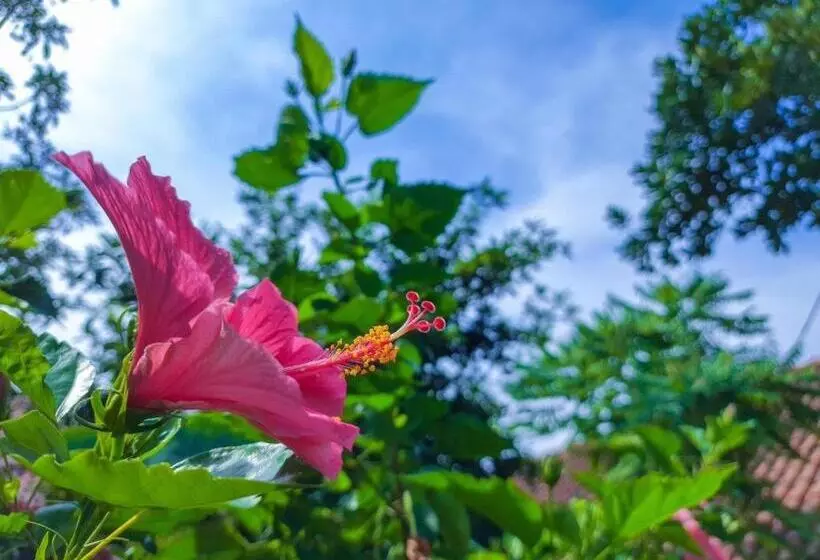 Fotos del hotel Padjadjaran:  8