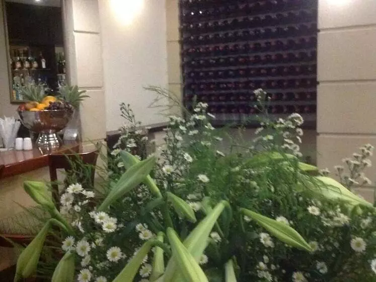 Fotos del hotel Apollo:  23