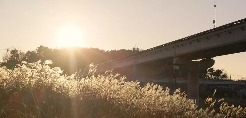 Fotos del hotel Nest  Incheon:  14