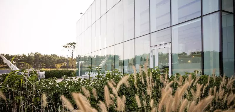 Fotos del hotel Nest  Incheon:  21