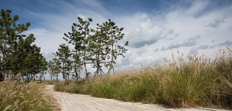 Fotos del hotel Nest  Incheon:  24