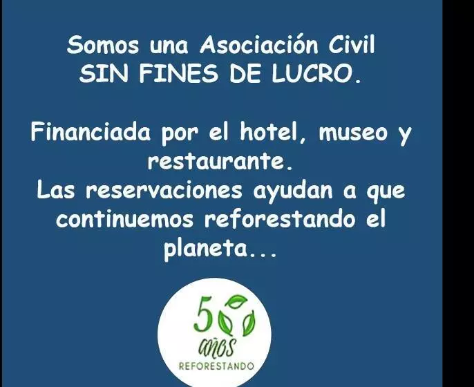 Fotos del hotel Na Bolom:  11