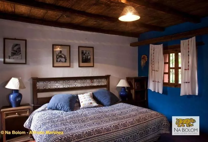 Fotos del hotel Na Bolom:  16