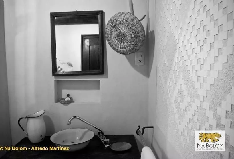 Fotos del hotel Na Bolom:  6