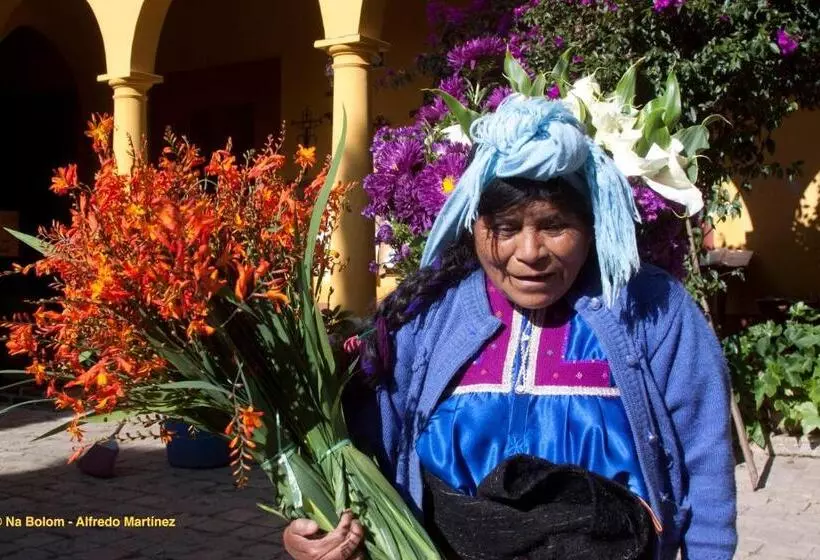 Fotos del hotel Na Bolom:  20