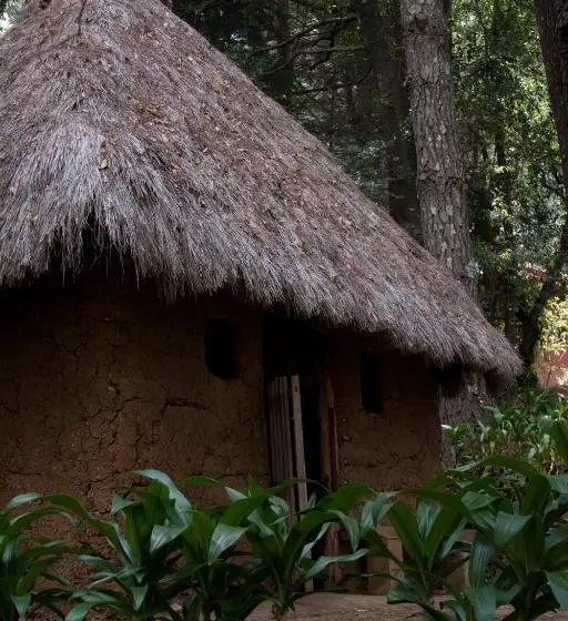 Fotos del hotel Na Bolom:  8