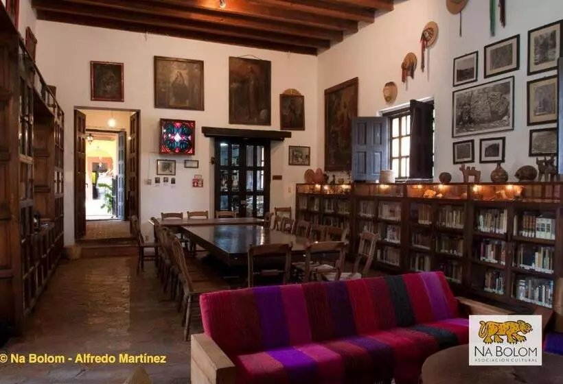 Fotos del hotel Na Bolom:  4