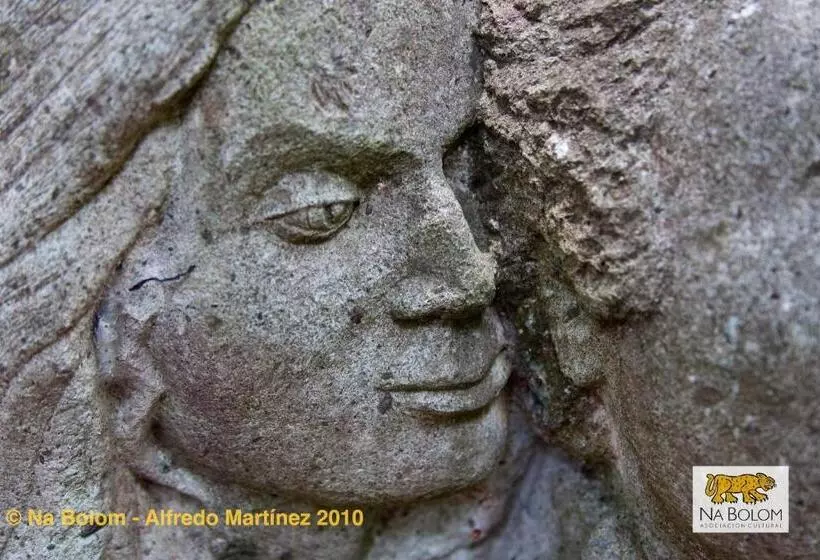 Fotos del hotel Na Bolom:  7