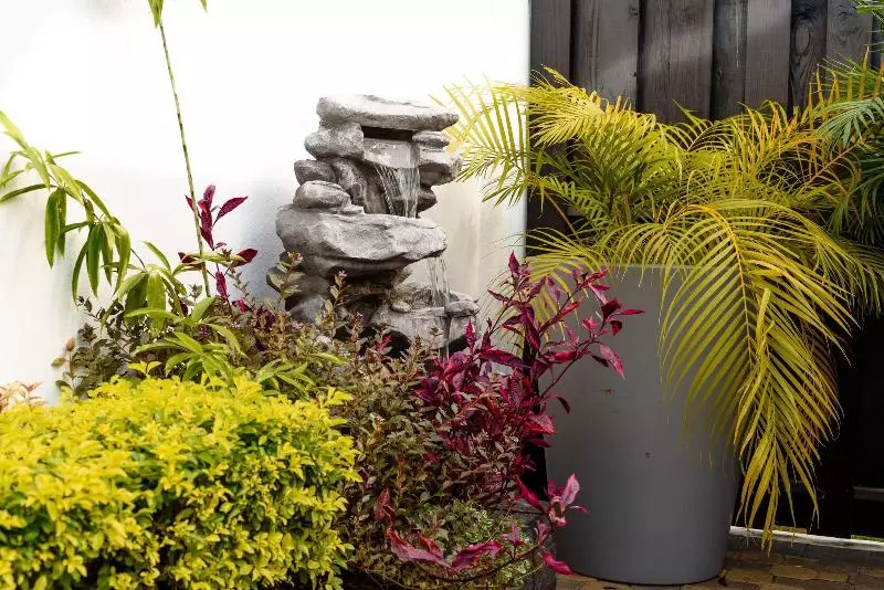 Fotos del hotel Tim Bamboo:  6