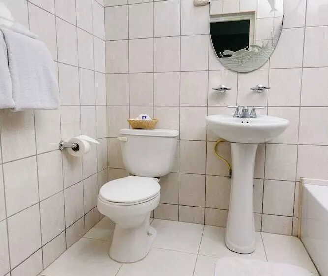 Fotos del hotel Tim Bamboo:  14