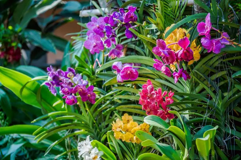 Fotos del hotel Anantasila Villa By The Sea:  7