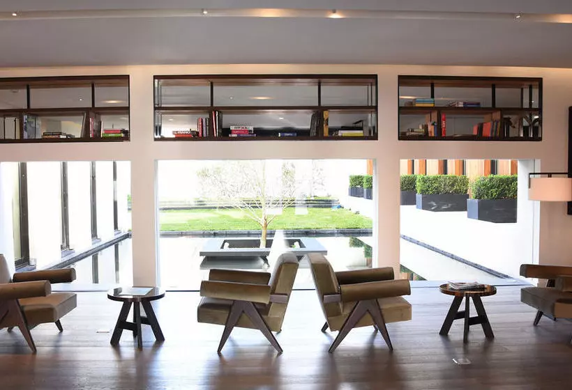 Oliva Luxury  Montevideo