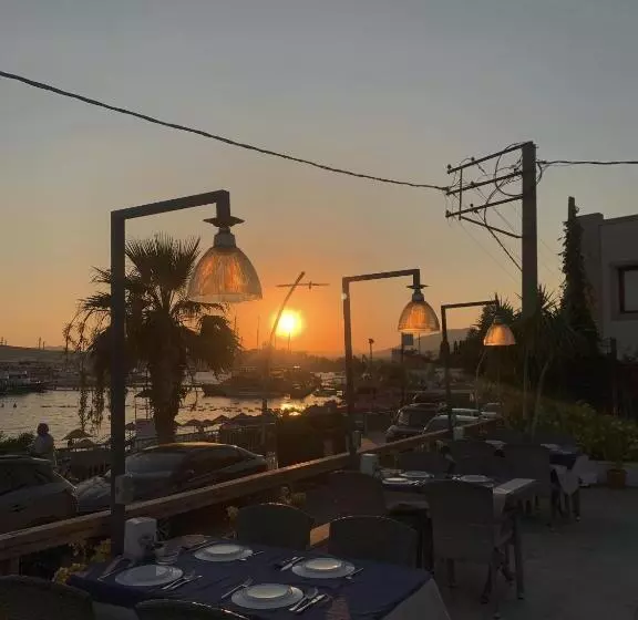 Fotos del hotel Akkan Beach:  15