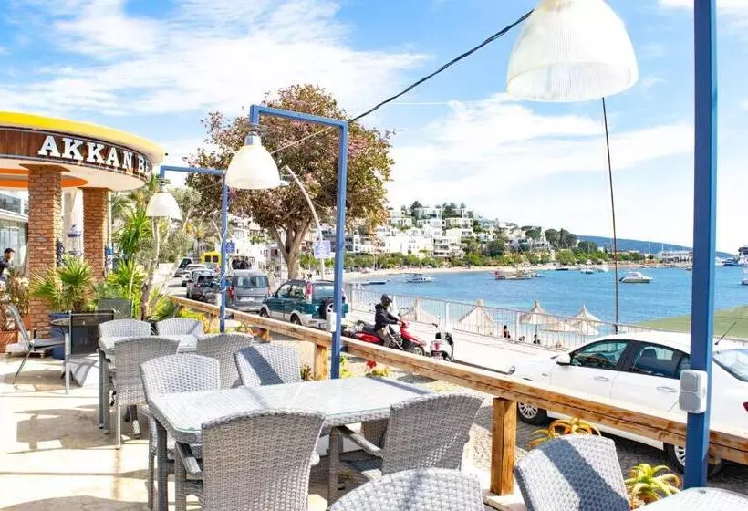 Fotos del hotel Akkan Beach:  13