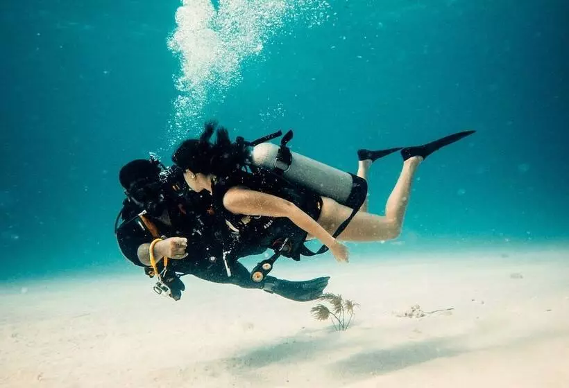 Fotos del hotel Viajero Hostel San Andres:  6