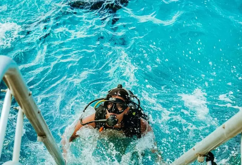 Viajero Hostel San Andres