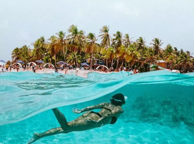 Fotos del hotel Viajero Hostel San Andres:  25