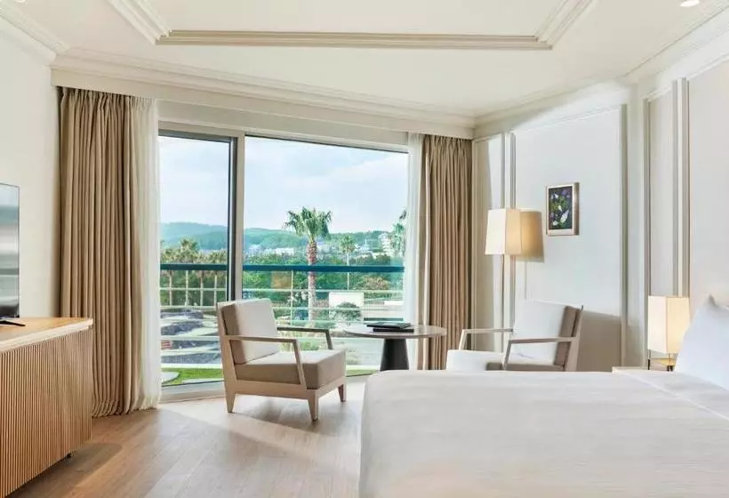 Fotos del hotel Grand Josun Jeju:  16
