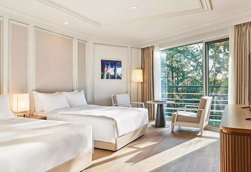 Fotos del hotel Grand Josun Jeju:  13