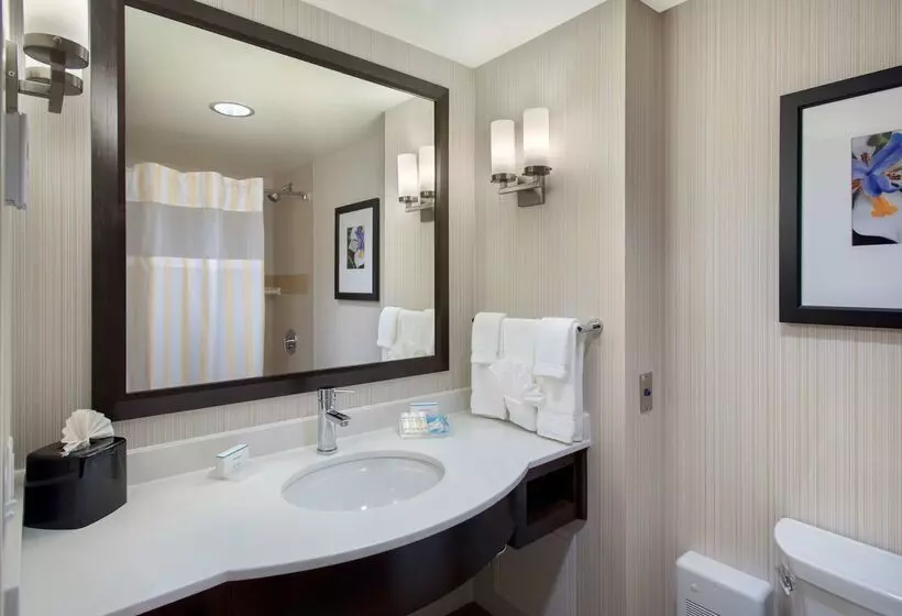 Fotos del hotel Hilton Garden Inn Chicago Downtown Riverwalk:  15