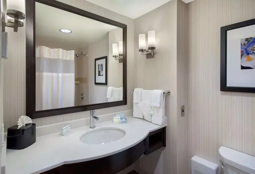 Fotos del hotel Hilton Garden Inn Chicago Downtown Riverwalk:  6