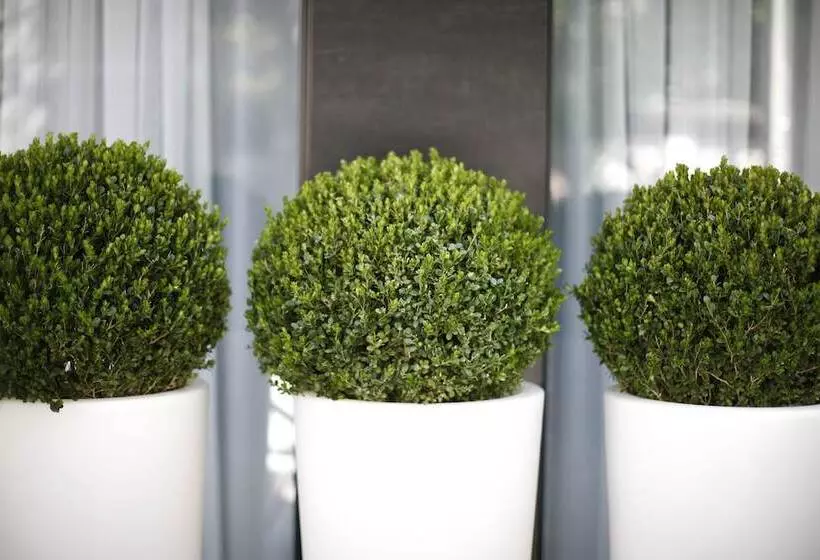 Fotos del hotel Nova City Garni Hotel Signature Collection:  10