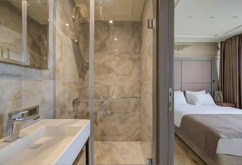 Fotos del hotel Taksim Premium:  17