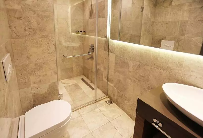 Fotos del hotel Taksim Premium:  13