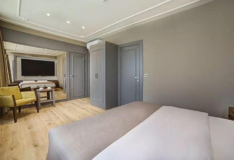 Fotos del hotel Taksim Premium:  19