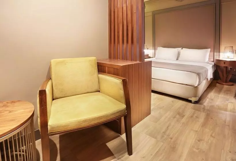 Fotos del hotel Taksim Premium:  21