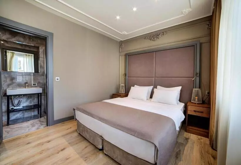 Fotos del hotel Taksim Premium:  24