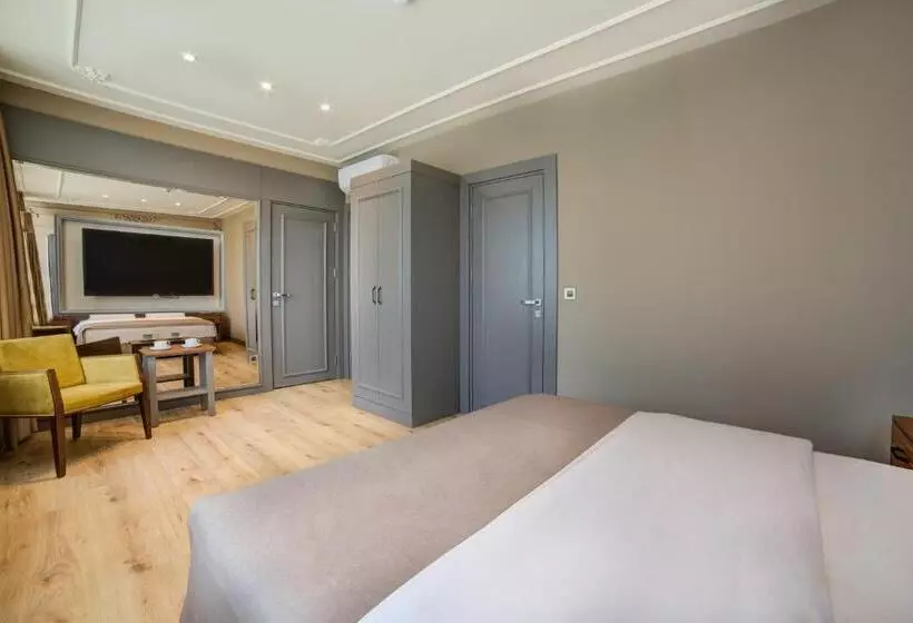 Fotos del hotel Taksim Premium:  14