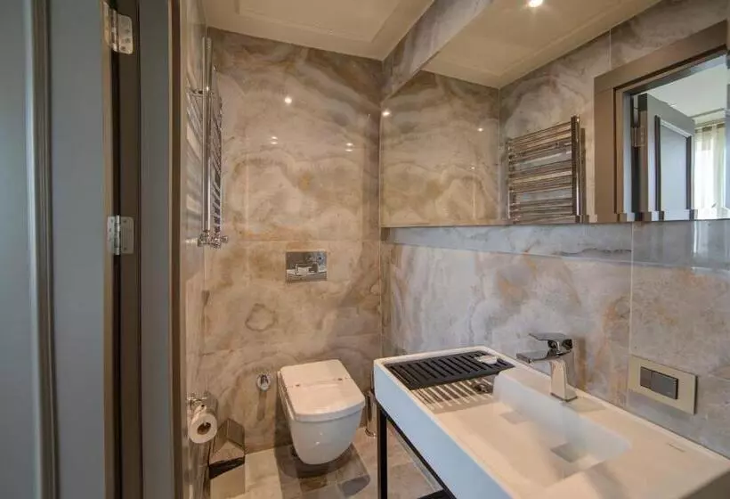 Fotos del hotel Taksim Premium:  11