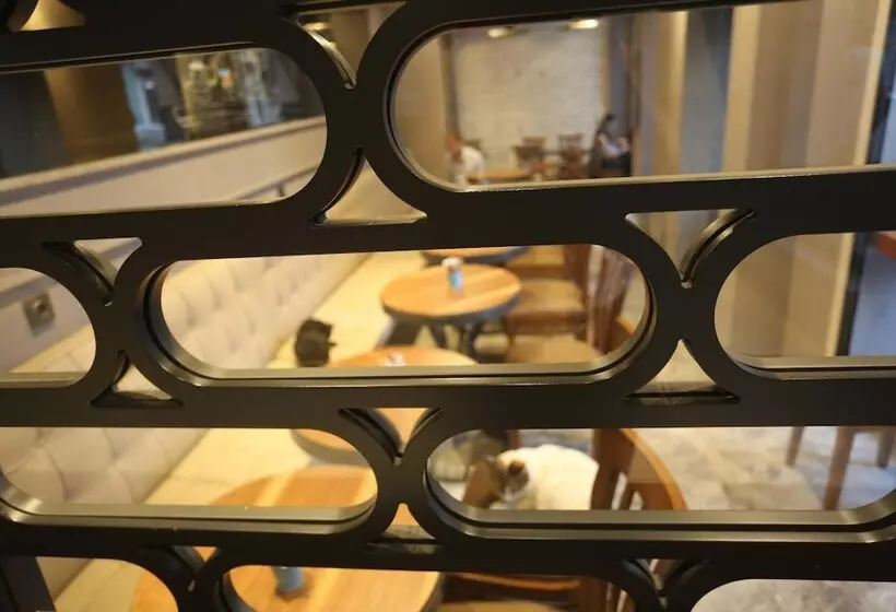 Fotos del hotel Taksim Premium:  9