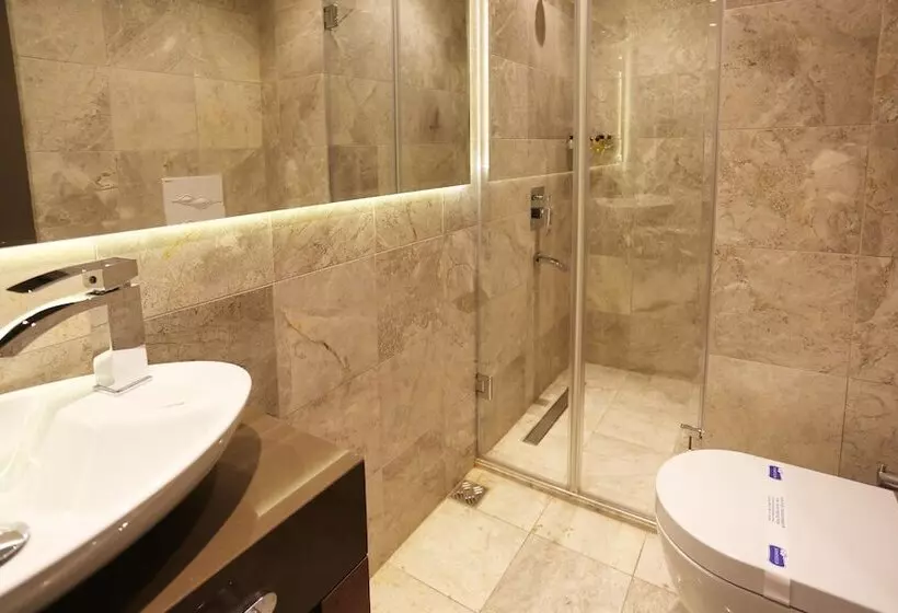 Fotos del hotel Taksim Premium:  7